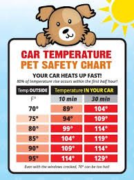 car temperature safety guide sticker made in the usa