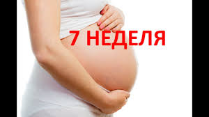 7 Nedelya Beremennosti Chto Proishodit Ot Zachatiya Bolit Zhivot Vydeleniya Www Wday Ru