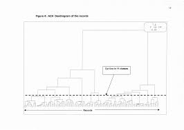 Image result for Meiostemon tetrandrus