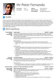 Looking for a team leader position in an organization where my ability will be fully utilized. The Write Way Resume Business Pros