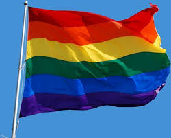 Samen met de regenbooghuizen in elke provincie. Regenboogvlag Groot L Vrolijk Boeken Films