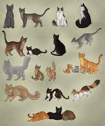 Pin On Warrior Cat Designs