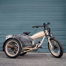 Image result for bicycle sidecar