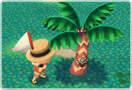 New horizons you will firstly need to obtain a net,. Summertime Beetle Bug Catching Complete Event Guide In Animal Crossing Pocket Camp Guides Animal Crossing World
