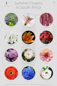 Tips for wedding flowers on a budget. Summer Wedding Flowers In South Africa Pink Book Sa