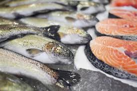 Whats Good To Eat What Kind Of Cold Water Fish Are Healthy To Eat Fish Diet How To Cook Fish Fish Varieties