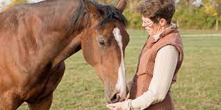 The Bond Between Horses And Humans