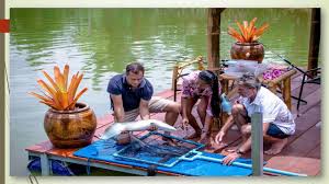 Pin On Private Monster Fishing Park Phuket