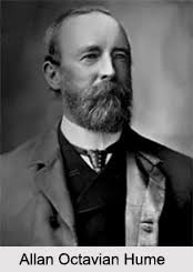 Allan Octavian Hume