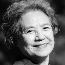 Watch Golden Dart Hero (1987) Full Movie Free Online