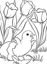 These were the 50 picture ideas you can recreate in spring. Cute Spring Coloring Pages Coloring Home