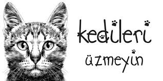 Kedileri Uzmeyelim Genc Istikbal Dergisi