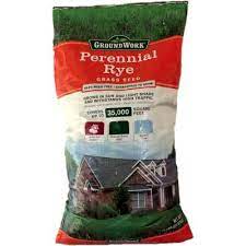 Find Groundwork Perennial Ryegrass 50 Lb In The Grass Seed Category At Tractor Supply Co The Groundwork S Perennial R Perennial Ryegrass Perennials Rye Grass