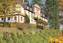 Erhalten sie immer die neuesten angebote. Weingut Von Neveu In Durbach Promobil