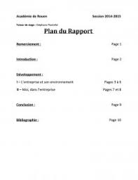 Pdf Telecharger Rapport De Stage Intermarche Gratuit Pdf Pdfprof Com