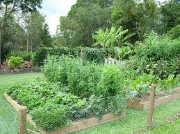 Beautiful Vegetable Gardens Cher Shots Something To Ponder Garden Calendar Planting Flowers Organic Gardening Books