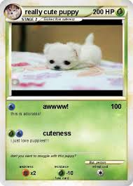 You may easily follow along or join in addpuppies.com is not just a site full of the most adorable puppies in the world. Pokemon Really Cute Puppy