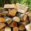 Timber, a term common in the united kingdom and australia for unprocessed wood (the term lumber is common in the usa and canada). 1