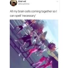 Check spelling or type a new query. Evil Mrs Piggy This Is My Brain Cells Coming Together So I Can Spell Necessary Facebook