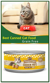 Best Canned Cat Food Grain Free A Wet Food Specifically For Cats Over The Age Of 12 Best Grain Free Nature S Val Canned Cat Food Cat Food Cat Food Brands