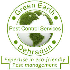 Pest control services has its head office based in dehradun, capital city of uttarakhand. List Of Top 6 Pest Control Services In Dehradun Address Guru
