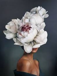 Amy Judd Art Painting Flower Art Art