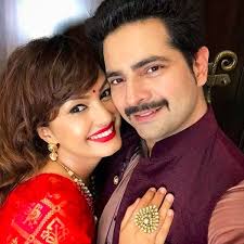 Nisha Rawal and Karan Mehra's domestic violence and infidelity case leaves  fans divided