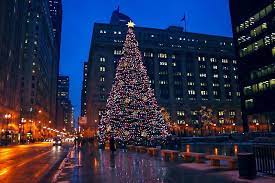 Photo Chicago S Daley Plaza At Christmas Chicago Christmas Chicago Photos Chicago Christmas Tree