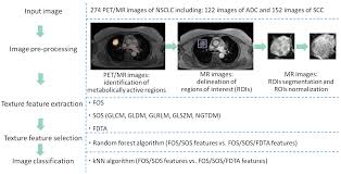 Application of Fractal Radiomics and Machine Learning for Differentiation  of Non-Small Cell Lung Cancer Subtypes on PETMR Images