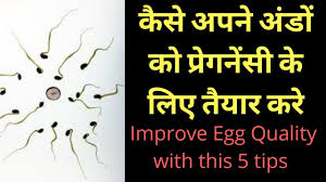 Check spelling or type a new query. Improve Egg Quality With 5 Tips 5 Most Effective Tips To Improve Egg Quality Heenahealth Youtube