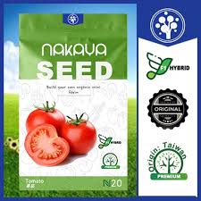 Suhu yang lebih dingin akan menghasilkan. Biji Benih Tomato F1 Hybrid Shopee Malaysia