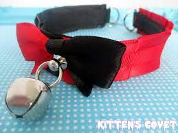 Pin On Kitten S Covet