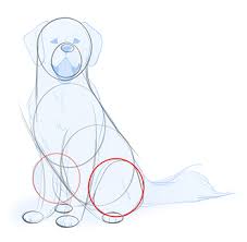 How To Draw Dogs | Art Rocket