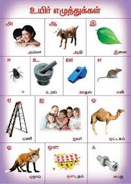 Alphabetical Chart In Tamil Paper Print Educational