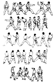 View all the belt levels you can achieve in shotokan karate and see the kata needed for the next belt level. The Shotokan Katas Karate Do Sanchin