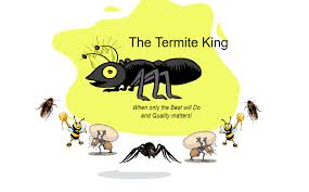 In terms of the drywood termites that live in the wall. Thetermiteking Com Au