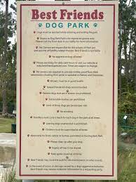 If your dog is still young then the blood work is not needed. Best Friends Pet Hotel 186 Photos 174 Reviews Pet Groomers 2510 Bonnet Creek Pkwy Lake Buena Vista Fl Phone Number