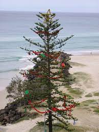 Several design elements are unmistakable marks of christmas—pine boughs, red and green palettes, twinkle lights—and creative décor enthusiasts always find a way to put their own spin on the season. The Daily Apple Apple 499 Christmas In Australia Christmas In Australia Australian Christmas Tree Christmas