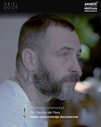 Ariel de Oro 2025, Sindicato de Trabajadores de la Producción  Cinematográfica, recibe Felipe Marino. 🏆