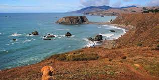 Jul 21, 2020 · amenities: Camping With Your Dog In Northern California Sonomacounty Com
