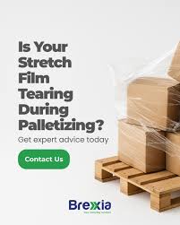 Image result for Brexia