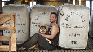 Wool Victoria: Central Victorian grower records huge clip