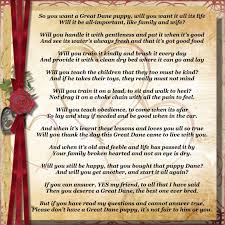 Pin By Renee Linderoth Your Evening On Great Dane Puppies Akc European American Great Dane Pups For Sale Conroe Texas Great Dane Great Dane Puppy Great Dane Dogs