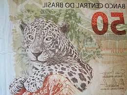 Coins are issued in denominations ranging from 1 centavo to 1 real. Brazilian Currency Fifty Real Touch Banknote Dollar Bill Brazil Currency Paper Money Money Bill Brazil S Currency Jaguar Pikist