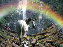 Fotos Einhorn Fantasy Regenbogen Magische Tiere Das hintergrundbild entstand an einem verregneten sommerabend an der ruhr in bochum. fotos einhorn fantasy regenbogen