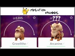 Arcanine – @Pokemon-Strategy-Dex On Tumblr