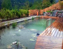 Allgemein Schwimmbad Designs Naturschwimmbecken Aussenpool