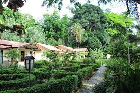 Kupu kupu garden guest house & cafe lies in vicinity of orang utan feeding. Ecolodge Bukit Lawang Rentals Bukit Lawang