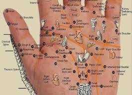 Pin On Health Healing