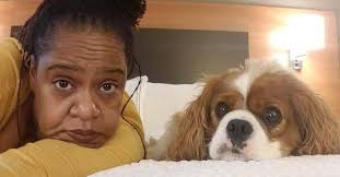 Barry L Gridley, OD, Inc, 111 E 3rd St, Dayton, OH 45402, US